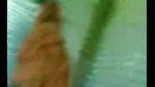 إذا تنزيل سكسي عربي بولسيني الفراخ تعطي الحمار اللعين