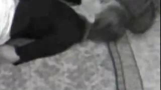 رائع شقراء جلس على رائع كاكون افلام سكسي تحميل
