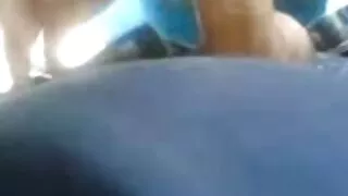 الحمار كبيرة بنشاط ركوب تحميل فلم سكسي الديك