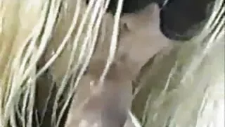 القضيب يقف تحميل فيلم سكسي ههال فتاة يمسح قبل ممارسة الجنس